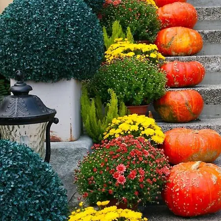 Palac Alexandrow Wroclaw Airport Hotel 4*