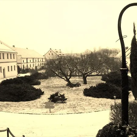 Palac Alexandrow Wroclaw Airport Hotel Samotwór