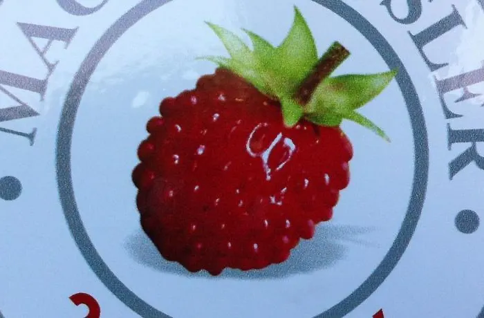 Hotel Palac Alexandrow Wroclaw Airport 4*