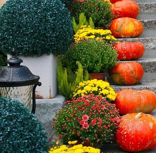 Palac Alexandrow Wroclaw Airport Hotel 4*